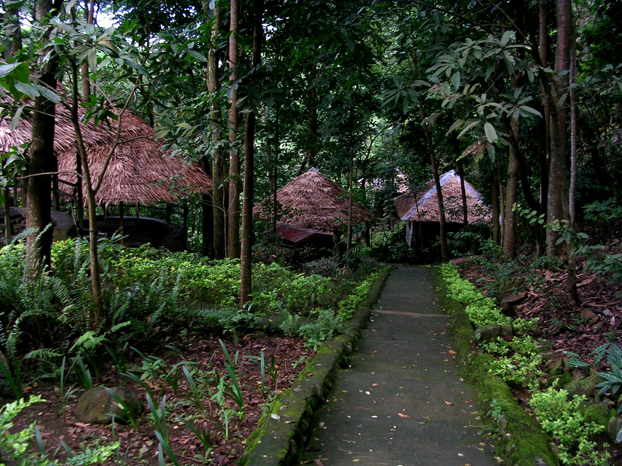 Negros Pillippines